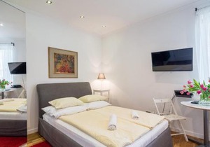 Studio - Grandtulipan