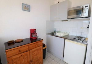 Studio Le Grau-du-Roi, 1 pièce, 4 personnes - FR-1-307-26
