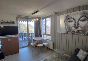 Studio lumineux à Pra-Loup, proche pistes, galerie commerciale et parking privé. - FR-1-165A-109
