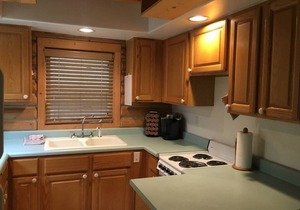 Talkeetna Log Cabin with Hot Tub Unit 1