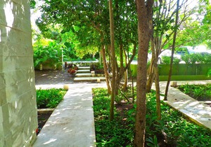 Tao Inspired Living, Beach 50 mts, Beach Club In front,Activities & Restaurants!