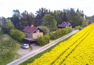 The Cozy Little House