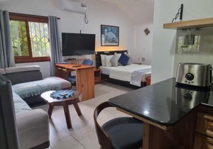 The Drake Seaside Apartment - Studio