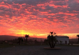 The Dunes Hotel