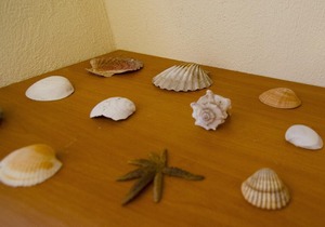 The Fisherman's House