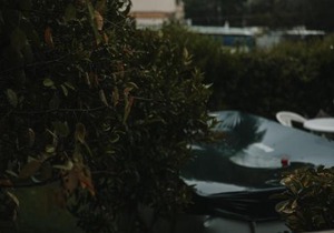 The Garden apartment