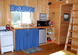 The Gathering Place Cabin #1, rustic cabin on the water, close to Chilkoot River