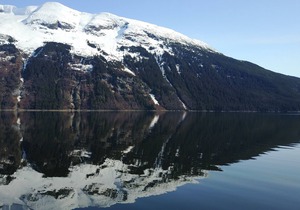 The Gathering Place Cabin #1, rustic cabin on the water, close to Chilkoot River