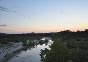 The Nueces River Retreat - Room #4