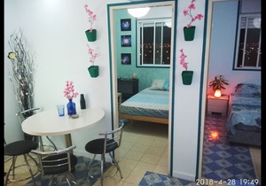 The small sakura garden