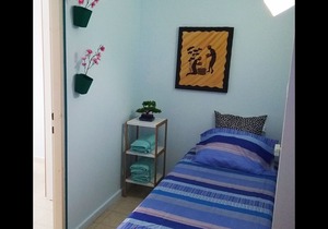 The small sakura garden
