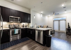 The Star - Luxury One bedroom in Frisco