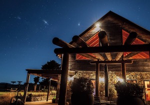 The Tree House Lodge - Bed & Breakfast