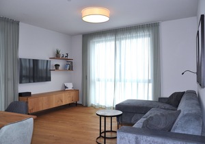 Top 8 Stilvolles, Lichtdurchflutetes Alpen-appartment