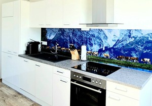 Top Ferienwohnung in 1 a Lage - neu Renoviert mit Neuer Ausstattung