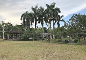 Tree House at Sitio de Amor Leisure Farm|Tree House at Sitio de Amor Leisure Farm