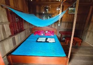 Tree Trails Travel Lodge