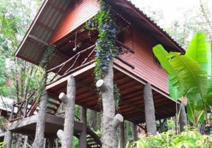 Treehouse Holidays-Garden View