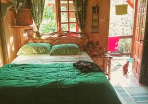 Treehouse Holidays-Garden View