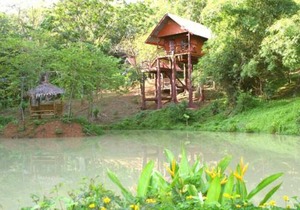 Treehouse Holidays-Lake View