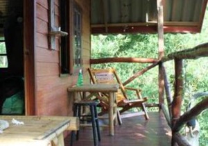 Treehouse Holidays-Lake View