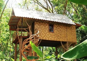 Treehouse Holidays-Love Nest