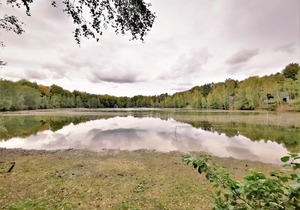 Treeloft adventure in nature for 4 people 11