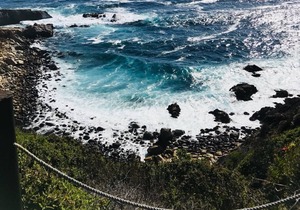 Tunquen Magico