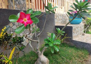 Two One Homestay