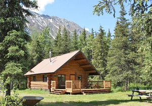Upper Paradise Log Cabin - Nightly Rental in the Woods
