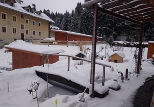 urisee