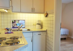 Vacation apartment/apartment for 2 guests with 42m² in Klein Wittensee (1764)