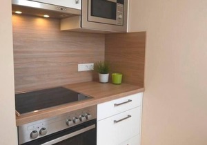Vacation apartment/apartment for 3 guests with 45m² in Klein Wittensee (15800)