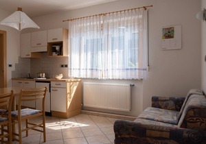 Vacation apartment/apartment for 2 guests with 45m² in Parcines (111181)