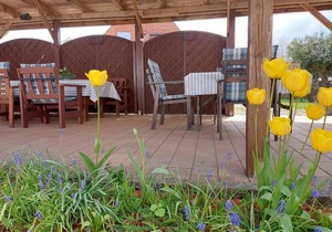 Vacation apartment/apartment for 4 guests with 50m² in Loose (86781)