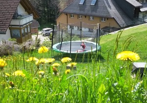 Vacation apartment/apartment for 6 guests with 68m² in Todtnauberg (122780)
