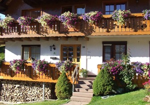 Vacation apartment/apartment for 3 guests with 39m² in Todtnauberg (122777)