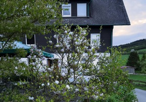 Vacation apartment Schwalbennest