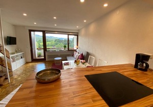 Vacation apartment Schwarzwaldblick in Lenzkirch (incl. HSC)