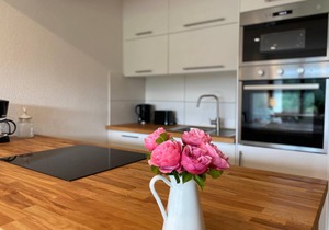 Vacation apartment Schwarzwaldblick in Lenzkirch (incl. HSC)