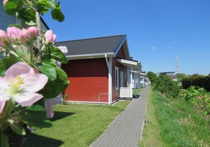 Vacation home 6a Nordland 60sqm for max. 4 persons - Premium vacation home Nordland in the