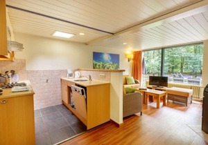 Vacation home Center Parcs Het Meerdal in America - 6 persons, 3 bedrooms