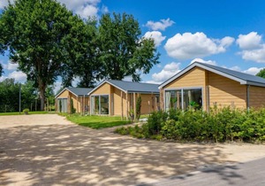 Vacation home EuroParcs Resort Kaatsheuvel in Kaatsheuvel - 4 persons, 2 bedrooms