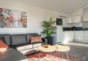 Vacation home EuroParcs Resort Kaatsheuvel in Kaatsheuvel - 4 persons, 2 bedrooms