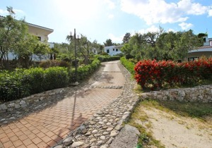 Vacation home Passo dell'Arciprete in Vieste - 2 persons, 1 bedrooms