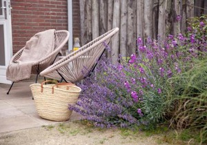 Vakantiehuisje Pluim 4 personen - Zeezand Recreatie