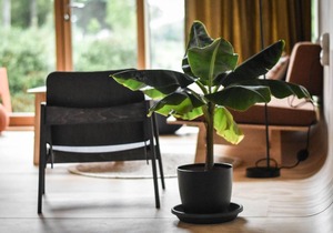 Vakantiepark de Klepperstee 7