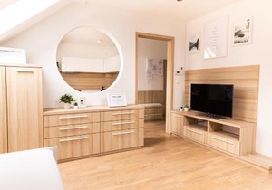 Vigorous Bled Apartment