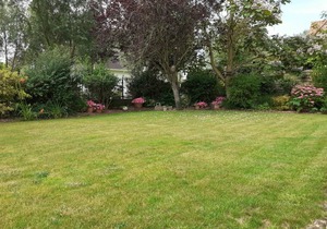 Villa ∙ 3 bedrooms ∙ 6 guests