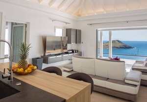 Villa Cacao | Ocean View - Located in Beautiful Toiny with Private Pool